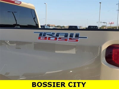 2023 Chevrolet Silverado 1500 Custom Trail Boss